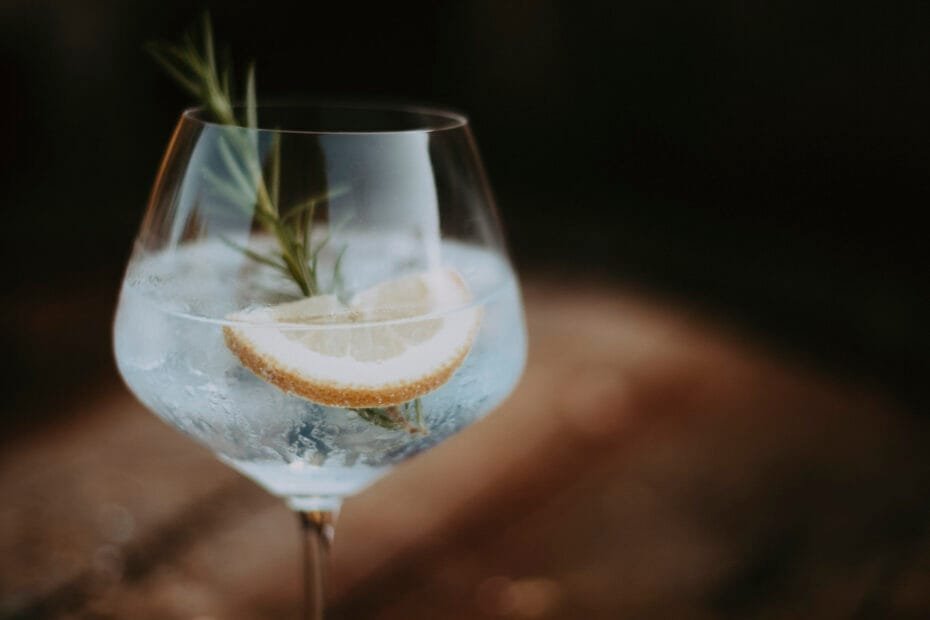 gin tonic distillerie de l'ort