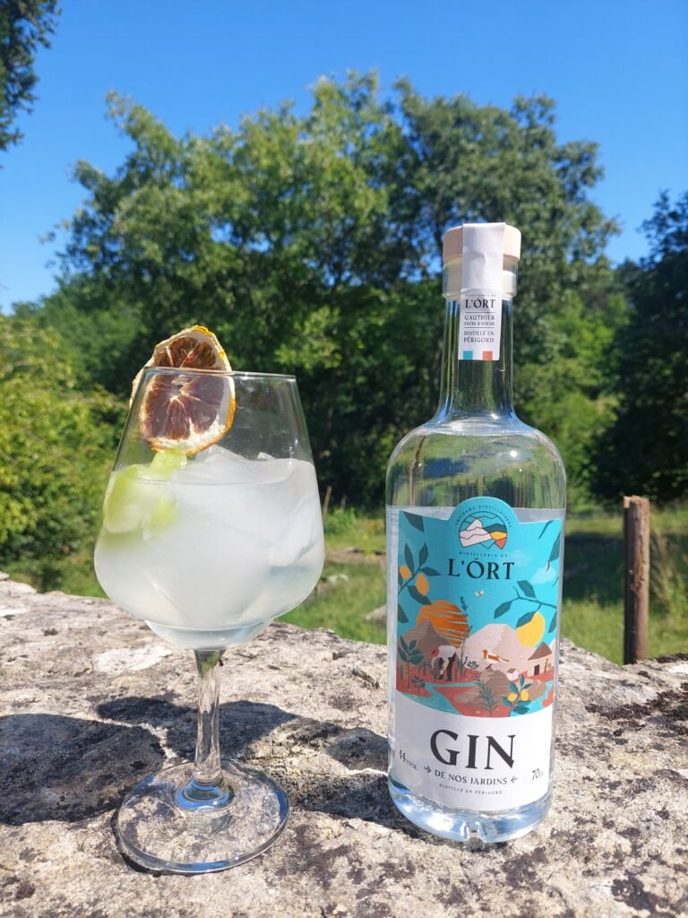 cocktail au sureau et gin