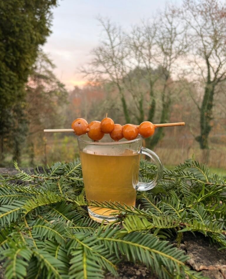 au dssus la combe un cocktail aux saveurs hivernales à la mirabelle et au gin
